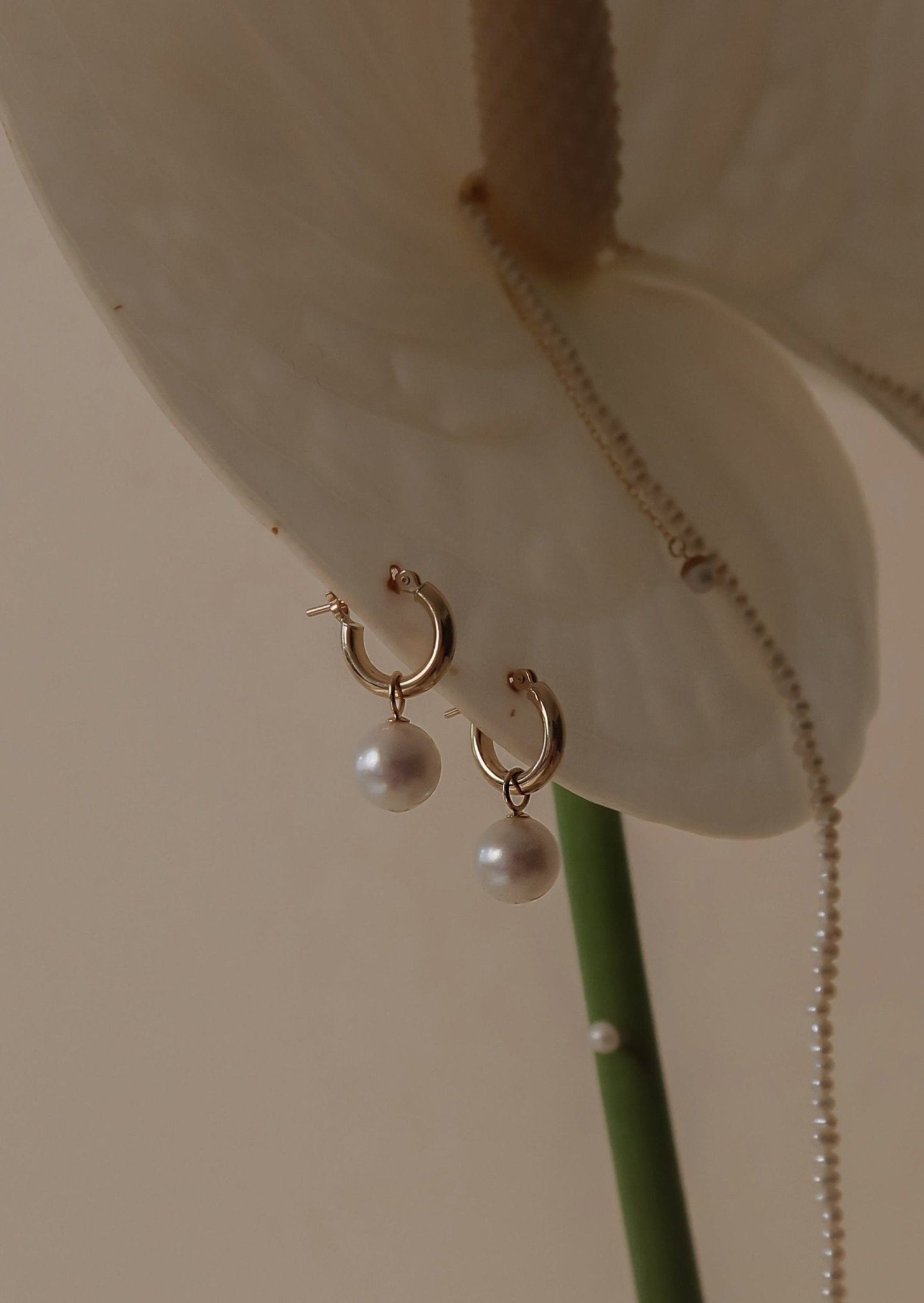 Round Pearl Huggies - SIA Jewelry