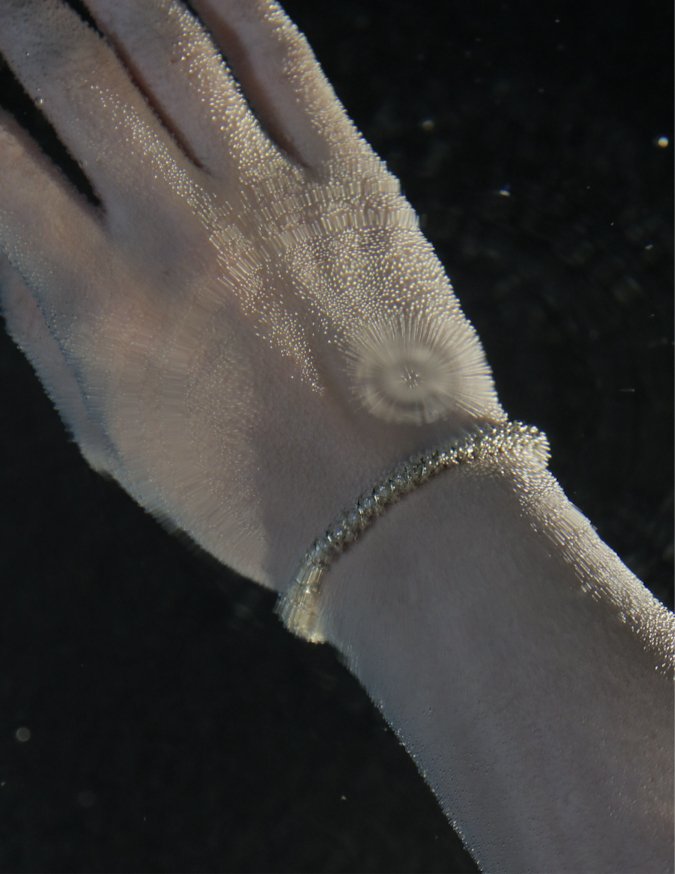 Serena Diamond Tennis Bracelet - SIA Jewelry